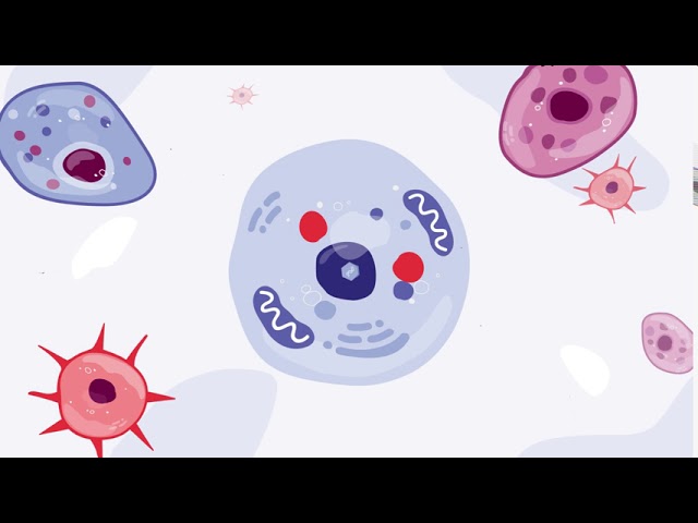 Viral Vectors Overview