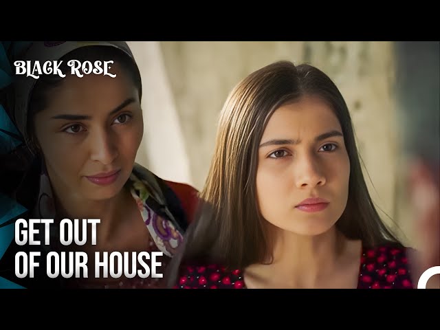 My Boyfriend Was Going To Be a Killer Because of You! | Black Rose Episode 102