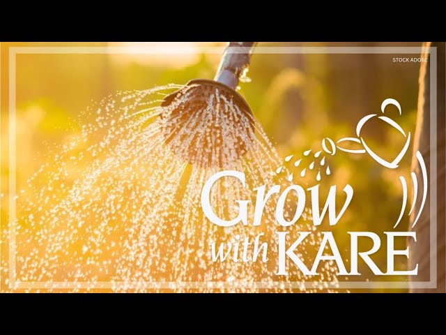 Grow with KARE: Keep up the fall watering!