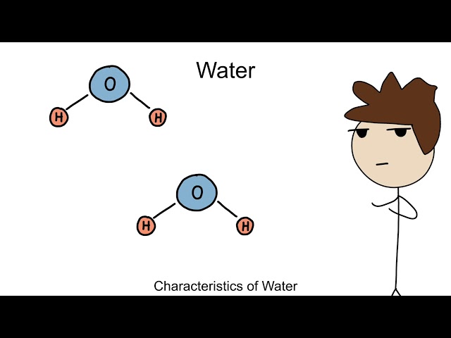 Characteristics of Water - BIOLOGY/CHEMISTRY part 9