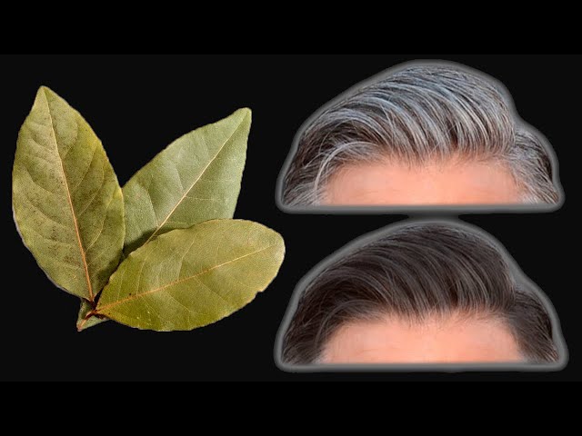 Gray hair disappears in 5 minutes 100% efficiency! You will be shocked by the result😱😱😱