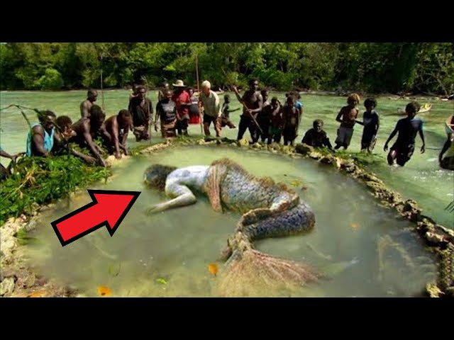 If THIS creature had not been filmed, no one would have believed in its existence!