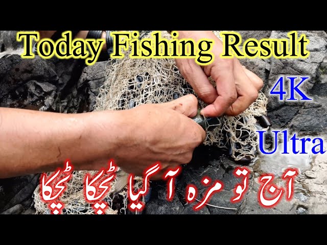 Cast net fishing video 2022 | Hook fish hunting in Desi village river | مچھلی 🐟 پکڑنے کا آسان طریقہ