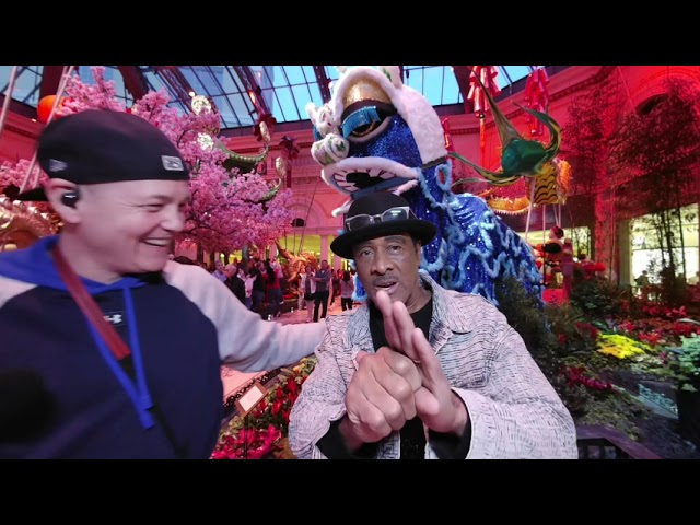 Las Vegas Bellagio Chinese New Year Interviews 2024 VR 180 3D