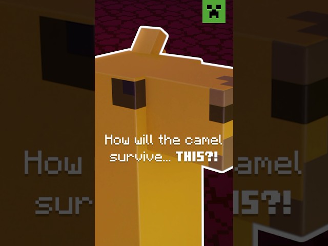 HOW WILL THE CAMEL SURVIVE?