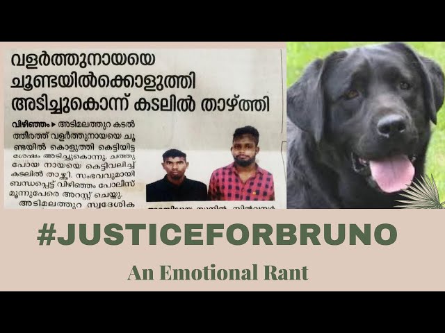 #JusticeforBruno | An Emotional Rant | Ranjini Haridas