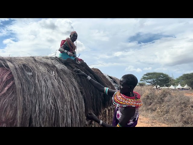 Maa Cultural Festival Samburu County National Reserve Archer’s Post Maasai Traditional Community Pom