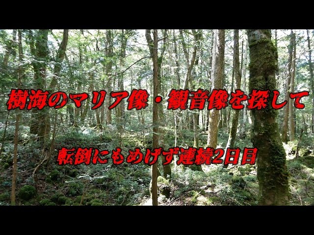 樹海のマリア像・観音像を探して　転倒にもめげず連続2日目