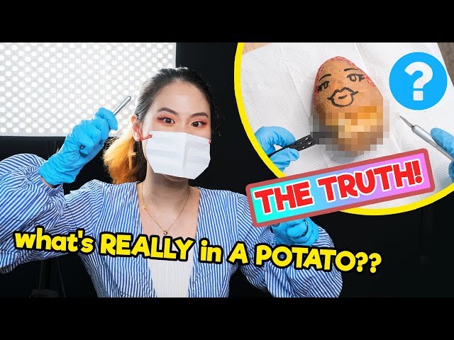 I did SURGERY on a POTATO and found THIS - Time of the Month #9 | MiniMoochi