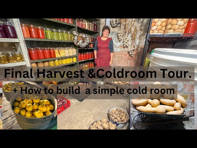 Cold Room Tour, How to Build Your Cold-room, Why we DON’t have a FREEZE DRYER.