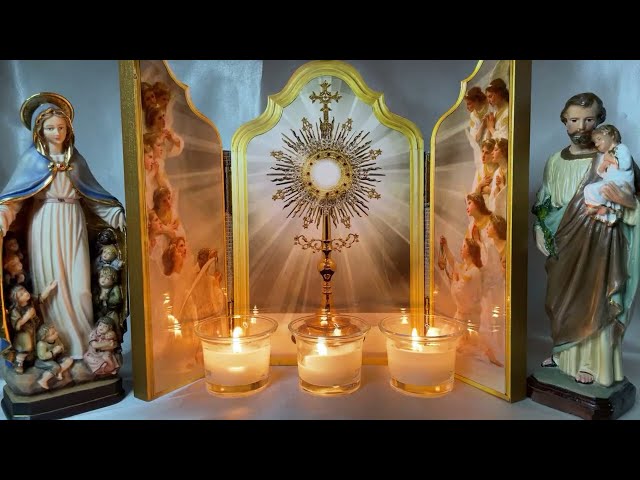 Rosary Family Holy Hour