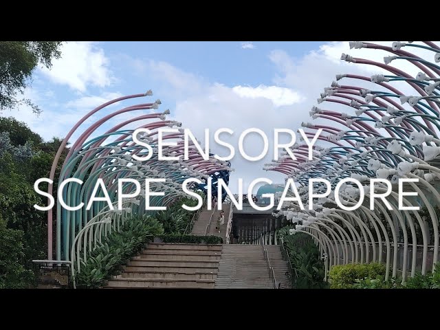 Sentosa Sensory Scape Singapore Day view🇸🇬 #singapore #ofw #adventure