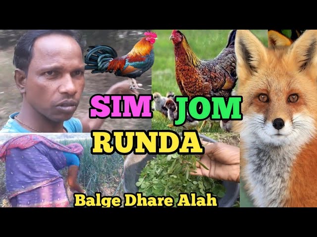 Sim Jom Runda🐱/Balge Dhare Alah🌿/Kadu Marandi/New Santali Vlog Video 2024🔥/@kadumarandi6372