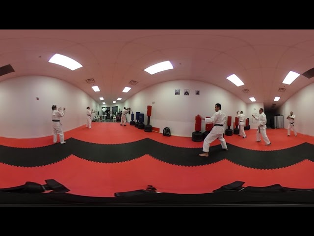 VIRTUAL REALITY MARTIAL ARTS