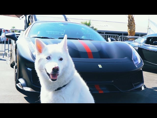 Taking The Ferrari 488 Pista To The Track