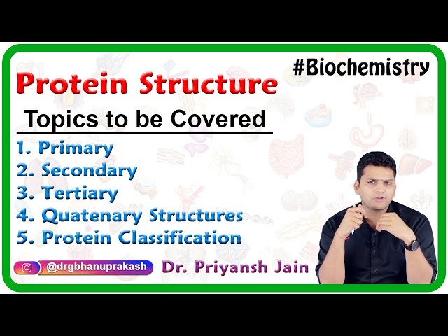 Protein Structure: Primary, Secondary, Tertiary, Quatenary Structures and Protein classification