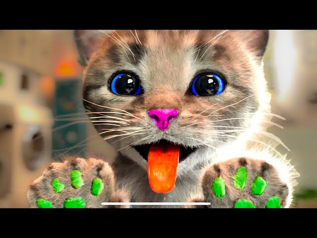 LITTLE KITTEN ADVENTURE - ANIMAL FRIENDS ON A SUPER LONG ADVENTURE JOURNEY - SPECIAL LONG KITTEN