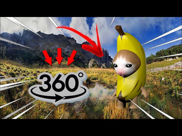 Banana Cat Finding Challenge But it's 360 degree video Part 3