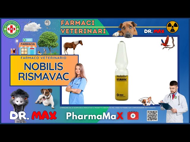 🐶 NOBILIS RISMAVAC Farmaco Veterinario a cosa serve ? - Foglietto Illustrativo 👔 Dr. MAX