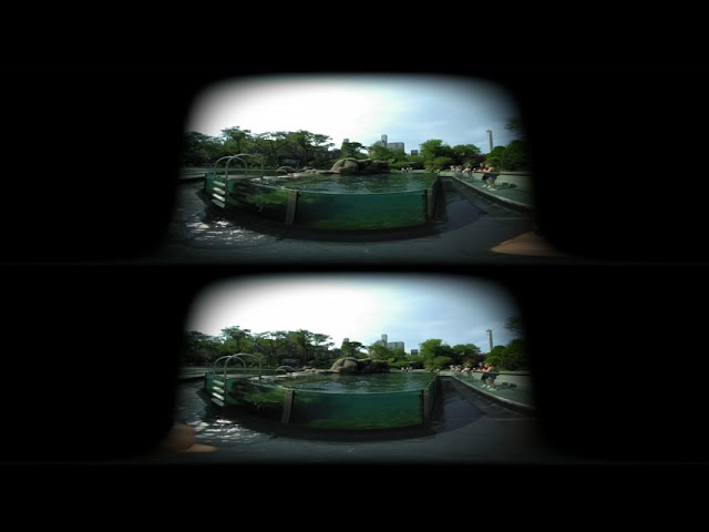 VR180 3D: A bit of Central Park Zoo