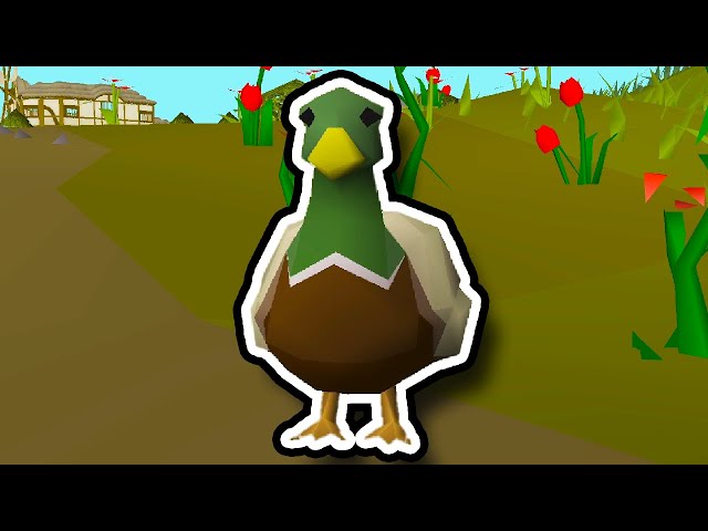 Runescape Needs More Ducks