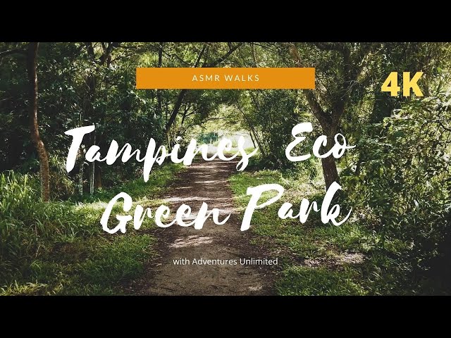 Tampines Eco Green | Singapore Nature Park | 4K ASMR Walk (for calm, relaxation and meditation)