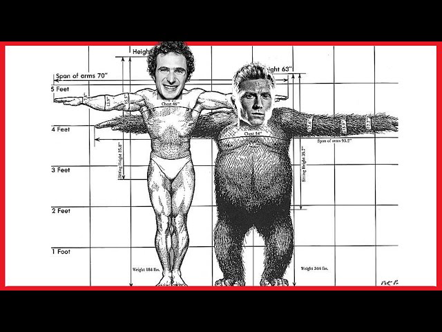 The Ape Index and Your Climbing Potential