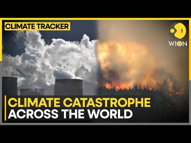 Climate change: World faces extreme weather conditions | WION Climate Tracker