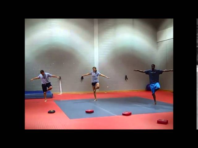 Developmental 1 for Gymnastics