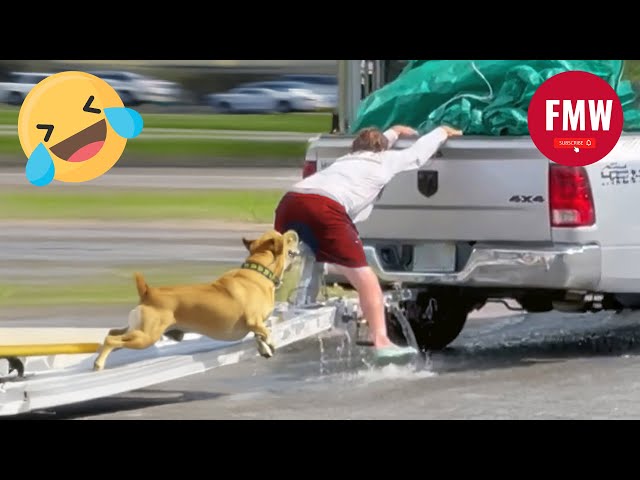 Funny & Hilarious People's Life 😂 #221 - Try not to Laugh | Instant Regret Fails Compilation 2024