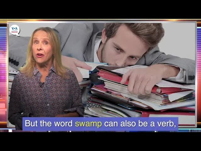 News Words: Swamp