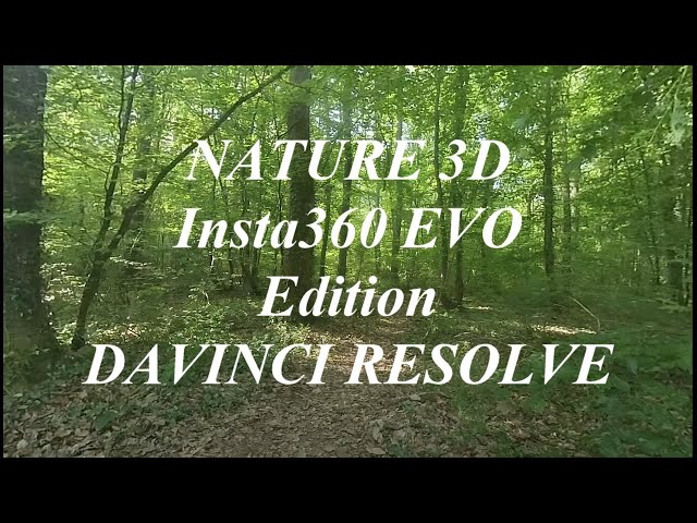 VR180 3D   NATURE 3D   Montage avec DA VINCI RESOLVE Test titrage