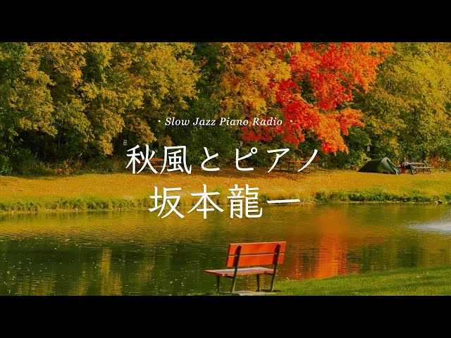 【作業用BGM】🍁秋色スローピアノ“坂本龍一ジャズアレンジradio”疲れた心に優しい音楽を〈途中広告なし〉