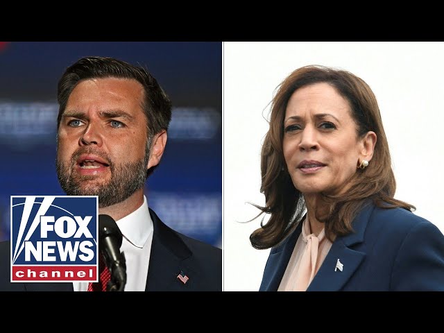 JD Vance tears into Kamala Harris over 'bizarre' response to protesters