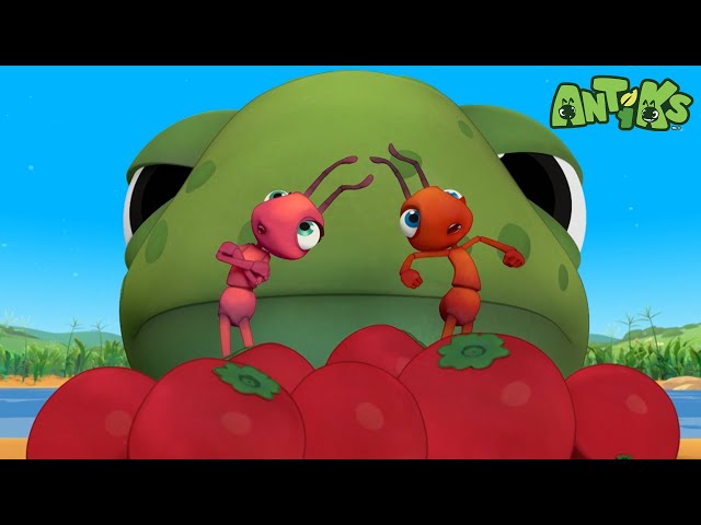 Hooked | Funny Cartoons For All The Family! | Funny Videos for kids | ANTIKS 🐜🌿