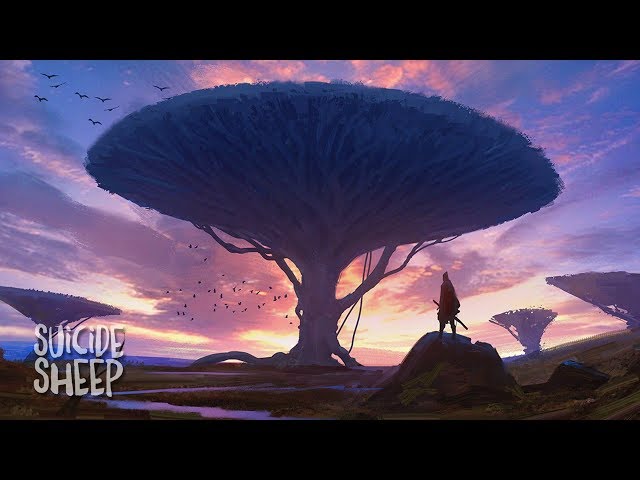 MitiS - Moments (feat. Adara)