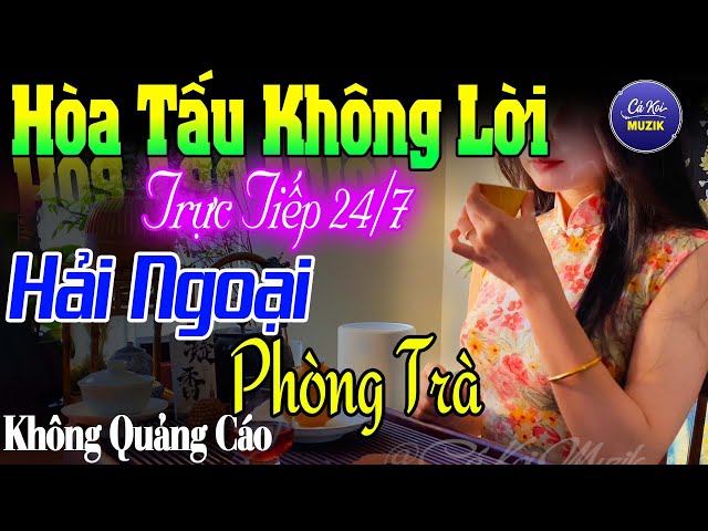 NHẠC KHÔNG LỜI BUỔI SÁNG THƯ GIÃN TRIỆU CON TYM - HÒA TẤU GUITAR HẢI NGOẠI - NHẠC RUMBA PHÒNG TRÀ