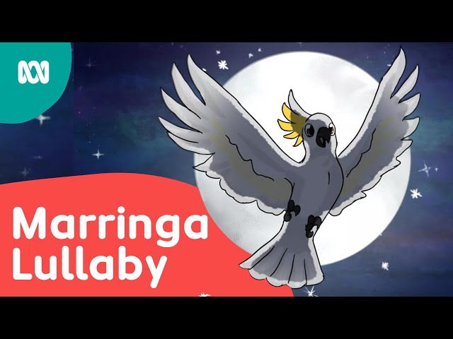 🌕 Journey across Country and dream of all the animals ✨ | Marringa Lullaby | ABC Kids