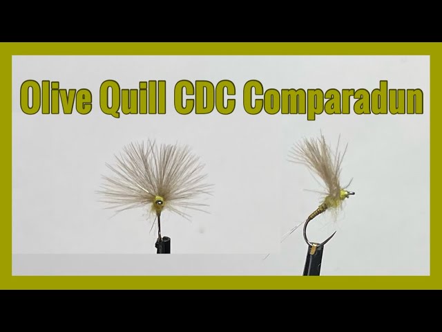 Fly tying / Montaje de moscas - Quill Oliva CDC Comparadun