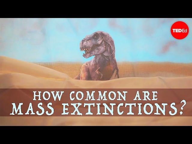 When will the next mass extinction occur? - Borths, D'Emic, and Pritchard