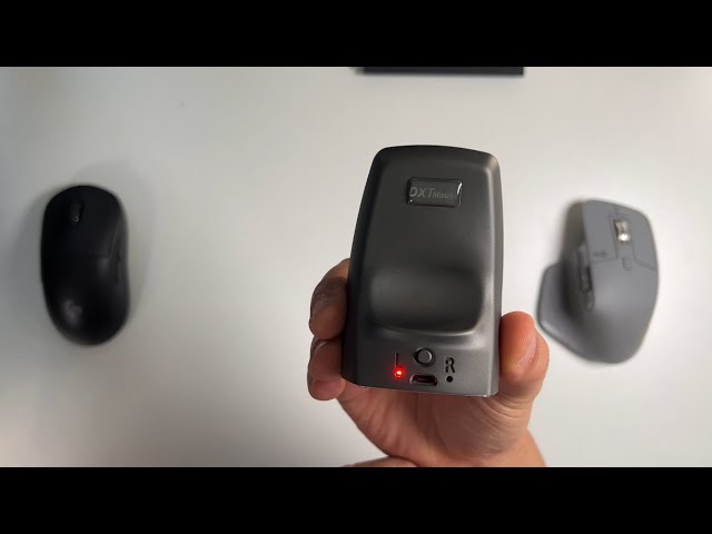 DXT Ergo Mouse Review