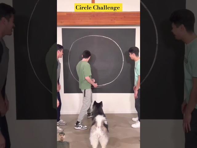 Perfect Circle Challenge @AdiFishman #challenge #funny #shorts #games