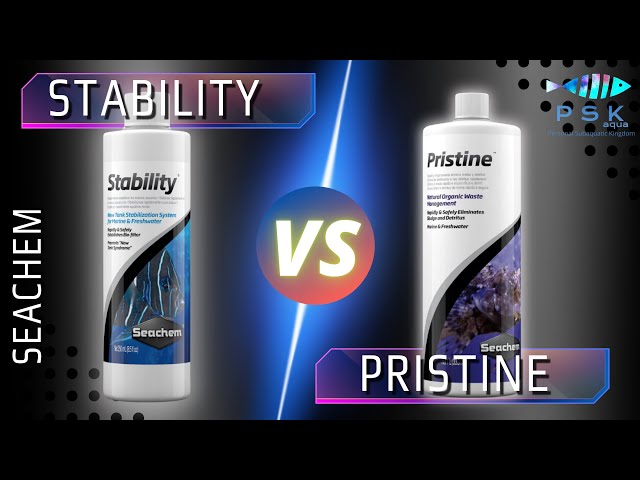 Seachem Stability vs Pristine: Which One is ACTUALLY Better? - #youtube #aquarium #seachem