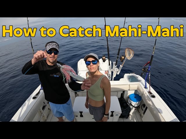 How to rig and TROLL 5 LINES WITHOUT OUTRIGGERS and Catch Mahi-Mahi. FISH ON!