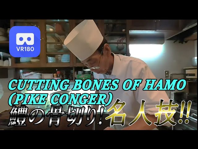 [ VR180 ] Cutting bones of Hamo (pike conger) / 鱧の骨切り 名人技！ (新丸子　とみ恵）あらたろう VRラボ #036