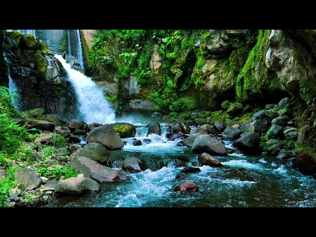 Waterfall Sounds for Sleeping, River Sounds for relaxation, Water Sounds for stress relief