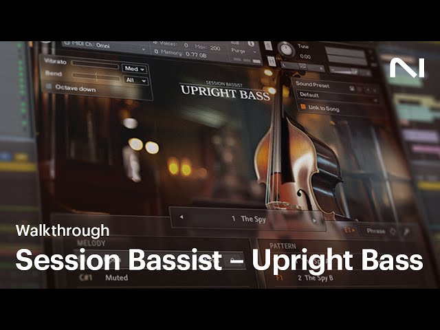 Session Bassist – Upright Bass walkthrough | Native Instruments