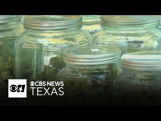 Texas AG Ken Paxton sues Dallas over ballot measure that decriminalizes marijana