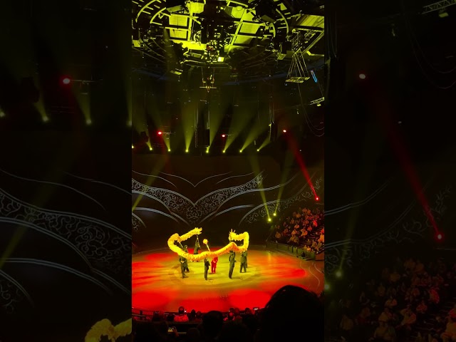 Dragon Acrobatic Circus show in Shanghai 2024, a world-famous circus. China. Full HD