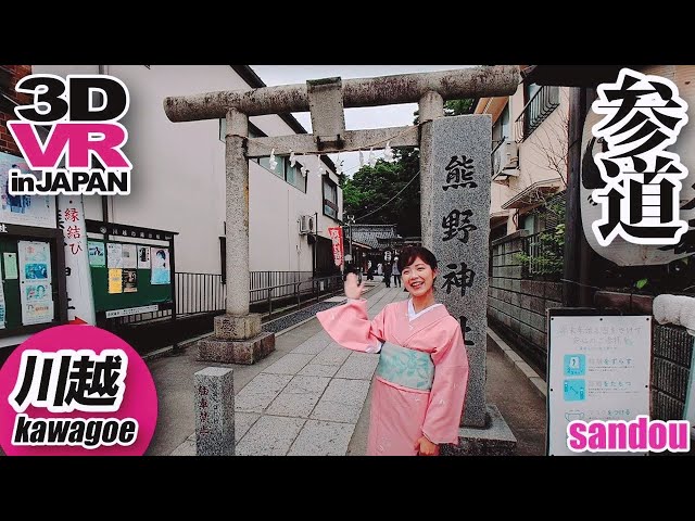 【8K/VR】神社参道 -Jinja Sandou- Japan Travel【3D/180°】